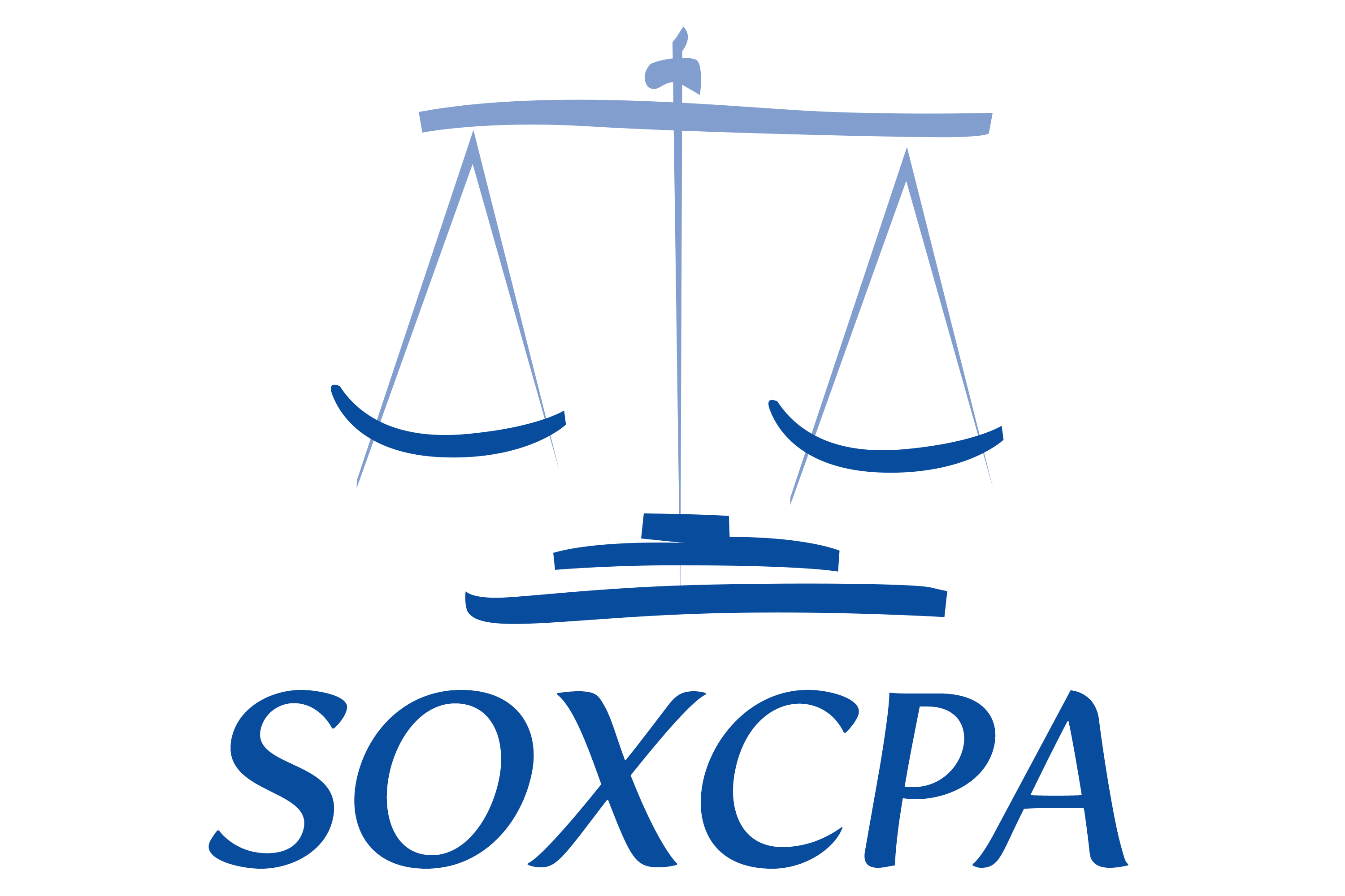 SOX Expert of SOX CPA, USA